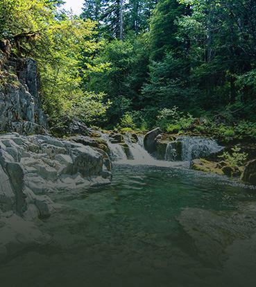 Schedule A Consultation